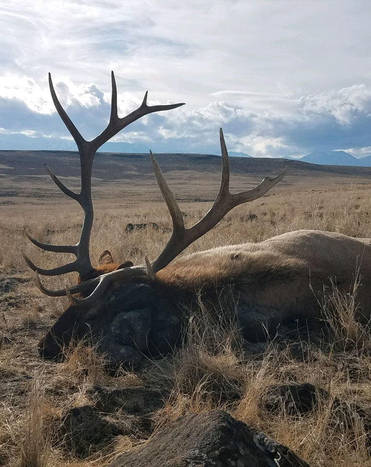 hustler-hunting-elk-hunt-5