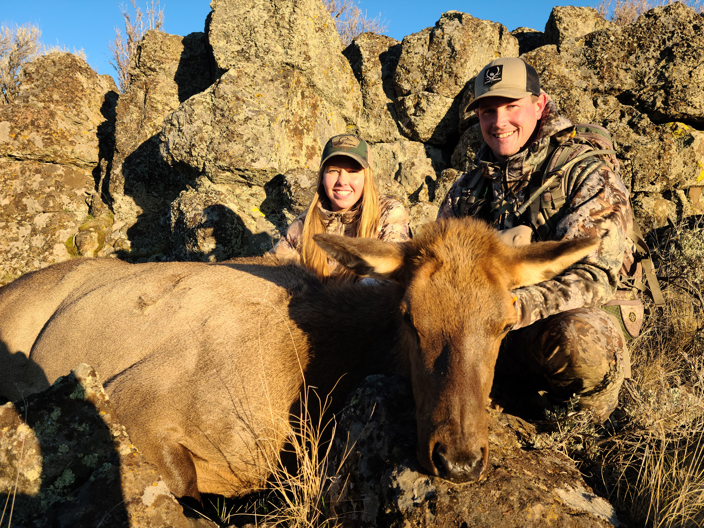 Antlerless Elk Hunts Hustler Hunting