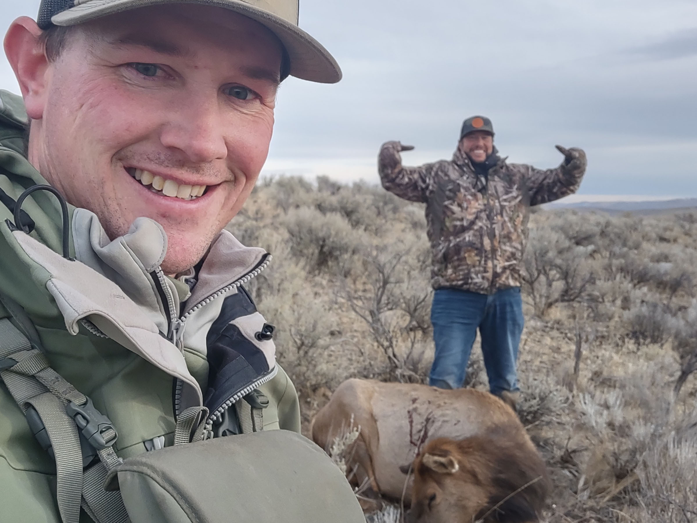 Antlerless Elk Hunts Hustler Hunting